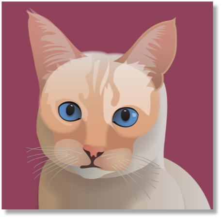 Senge Closeup